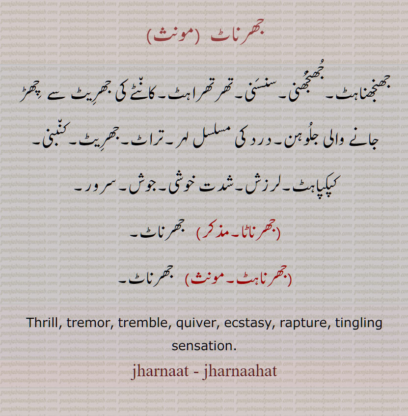 جھرناٹ, جھنجھناہٹ,جُھنجھنی,سنسنی,تھرتھراہٹ,درد کی مسلسل لہر,تراٹ, جھرناٹا, جھرناہٹ, Thrill, tremor, tremble, quiver, ecstasy, rapture, tingling sensation, jharnaat, jharnaahat, ਝਰਨਾਹਟ, ਝਰਨਾਟ