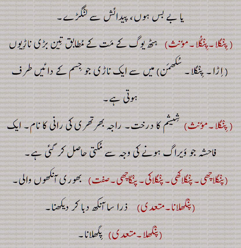پنگ  , لنگا, لنجا, پنگو, لنگڑا شخص,   بد شکل, لنگڑا, اپاہج, کبڑا, پنگریا, پنگلا,پنگل, پنگل واڑ, پانگولا, پنگلی, پنگلا,پنگلا,پنگلا,  لُنجا, پنگُو ,  کُبڑا, پِنگُرِیا, پِنگلا , پِنگل واڑ  , پِنگلا ,پِنگُلا,   پِگھلانا, Cripple, limp, stumpy, piNgla, pinguriya, handicapped, leper, paangola,  pingali, pingla, panghlaana, panghla, ਪਿੰਗਲਾ, ਪਾਂਗੁਲਾ, ਪਿੰਗਲੀ , ਪਿੰਗਲਾ, pang, ਪੰਗ, ਪੰਗੂ, ਪੰਗਲ, ਪੰਘਲ 