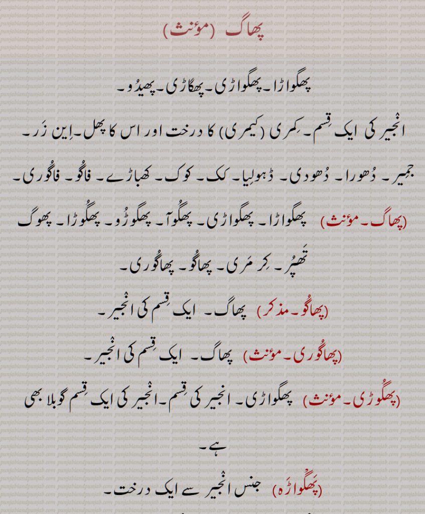پھاگ  , پھگواڑا,پھگواڑی,پھگاڑی,پھیدو, انجیر کی  ایک قسم, کمری ,کیمری, این زر, جمیر, دھورا, دھودی, ڈہولیا, کک, کوک, کھباڑے, فاگو, فاگوری, پھگوآ, پھگوڑو, پھگوڑا, پھوگ تھپر, کر مری, پھاگو, پھاگوری,پھاگو, پھاگوری, پھگوڑی, پھگواڑی,پھگْواڑہ, پھگْرا,ہولی کا  تیوہار, پھگوآ,ہولی کا گیت,پھگوآ,ہولی کی سوغات, ہولی کا تحفہ, پھگڑی, ہولی  کھیلنے والا, پھگُْرا,ہلیارا, مجازاً کوئی چالباز,پھگواڑا,ایک شہر,پھگوڑھ,  سکے چاول, 
