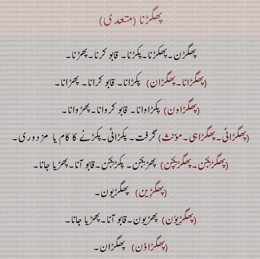 پھگڑنا , پھگڑن,پھکڑنا,پکڑنا, قابو کرنا,پھڑنا, پھگڑانا,پھگڑان, پھگڑاون,  پھگڑائی,پھگڑاہی, پھگڑیِجن,پھگڑیِچن, پھگڑِین,پھگڑیوَن, پھگڑاؤن, To catch, to control, phagRaana, phagRaawan,  phagRai, phagRaahi, phagRijan, phagRichan, phagaRna, ਫਗੜਣਾ, ਫਗਡ਼ਣਾ