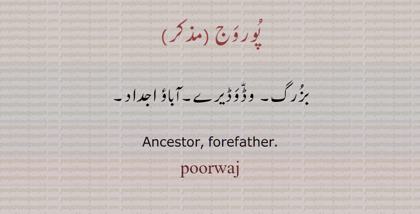 پوروج ,آباؤ اجداد,پُوروَج ,forefather, poorwaj, purwaj, ਪੂਰਵਜ