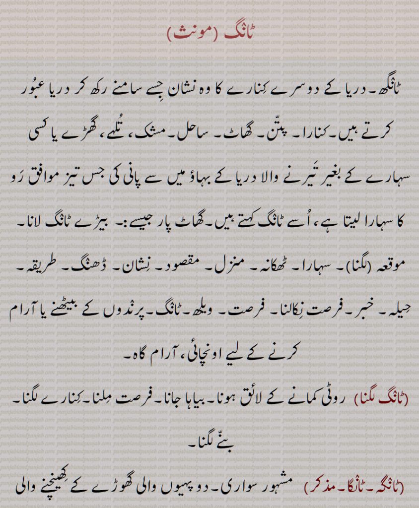 ٹانگ, ٹانگھ,دریا کے دوسرے کِنارے کا وہ نشان جِسے سامنے رکھ کر دریا عبور کرتے ہیں, کنارا,  پتن, گھاٹ, ساحل ,فرصت نِکالنا, فرصت, ,پرندوں کے بیٹھنے یا آرام کرنے کے لیے اونچائی,ٹانگ لگنا, ٹانگہ, ٹانگا, ٹانگِیوں کڈھنا, ٹانگاں, ٹانگر, ٹانگری,ٹنگڑی, ٹانگو, ٹانگل, ٹانگن,ٹانگوں چکن, ٹانگو دینا, ٹانگے, ٹانگاں, ٹانگی,  , The mark on the other side of the river, which is used as a reference point to cross the river, any place where a river is crossed; the bank, pattan, the shore,high stand for birds to sit or perch on; a perch, roost,  TaaNga, TaaNgar, TaaNgri, TaaNgoo, TaaNg,  ਟਾਂਗ, ਟਾਂਗਰ, ਟਾਂਗਰੀ,  ਟਾਂਗੂ ,ਮਚਾਣ , ਟਾਂਗਾ,