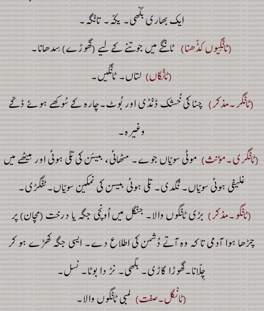 ٹانگ, ٹانگھ,دریا کے دوسرے کِنارے کا وہ نشان جِسے سامنے رکھ کر دریا عبور کرتے ہیں, کنارا,  پتن, گھاٹ, ساحل ,فرصت نِکالنا, فرصت, ,پرندوں کے بیٹھنے یا آرام کرنے کے لیے اونچائی,ٹانگ لگنا, ٹانگہ, ٹانگا, ٹانگِیوں کڈھنا, ٹانگاں, ٹانگر, ٹانگری,ٹنگڑی, ٹانگو, ٹانگل, ٹانگن,ٹانگوں چکن, ٹانگو دینا, ٹانگے, ٹانگاں, ٹانگی,  , The mark on the other side of the river, which is used as a reference point to cross the river, any place where a river is crossed; the bank, pattan, the shore,high stand for birds to sit or perch on; a perch, roost,  TaaNga, TaaNgar, TaaNgri, TaaNgoo, TaaNg,  ਟਾਂਗ, ਟਾਂਗਰ, ਟਾਂਗਰੀ,  ਟਾਂਗੂ ,ਮਚਾਣ , ਟਾਂਗਾ,