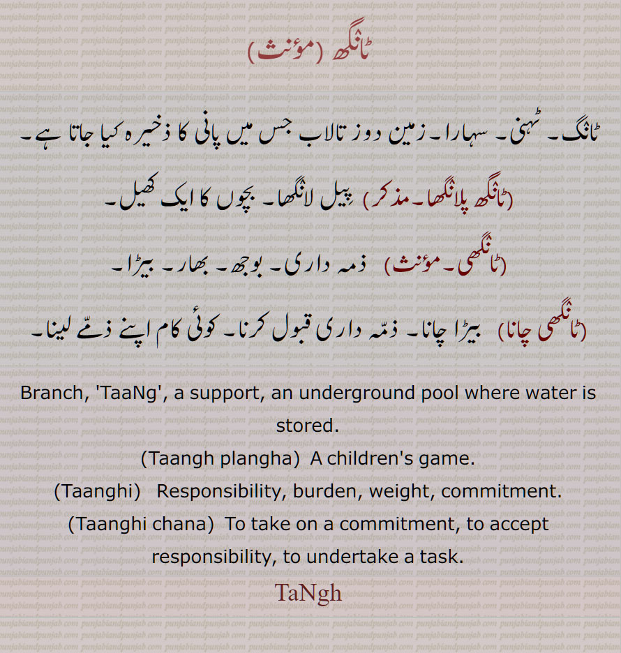 ٹانگھ , ٹانگ۔ ٹہنی۔ سہارا۔زمین دوز تالاب جس میں پانی کا ذخیرہ کیا جاتا ہے, ٹانگھ پلانگھا,  کھیل, ٹانگھی, ٹانگھی چانا, ذمّہ داری قبول کرنا, Branch, 'TaaNg', a support, an underground pool where water is stored, Taangh plangha, Taanghi, Taanghi chana, TaNgh, ਟਾਂਘ