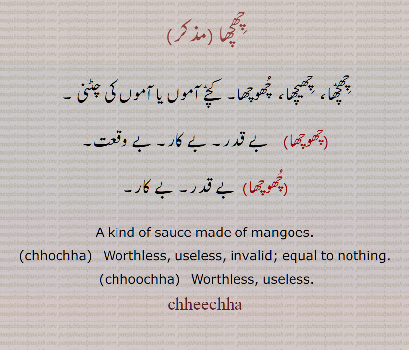 چِھچھا, چِھچّھا،  چِھیچھا،  چُھوچھا, چھوچھا, chhochha, chhoochha, chheechha, chhichha,  ਛੀਛਾ, ਛੋਛਾ, ਛੂਛਾ,چھیچھا،  چھوچھا,  