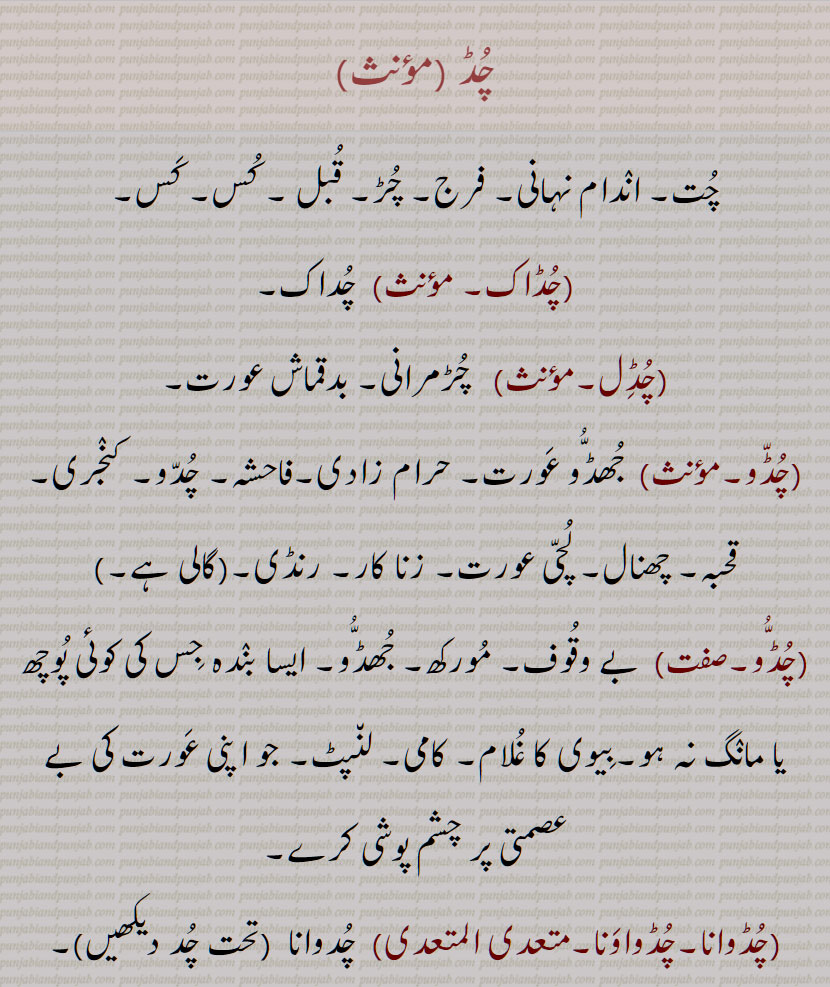 ,چُڈّو,چُڈو,چڈو,چُڈوانا۔چُڈواوَنا,چُڈوانا۔چڈواونا,ਚੁੱਡ, chudd, ਚੁੱਡੋ ,chuddo,Jhuddo,ਚੁੱਡੂ, chuddu, chuddoo,ਚੁੱਤੂ, chuttu, chuttoo,jhuddu, jhuddoo,