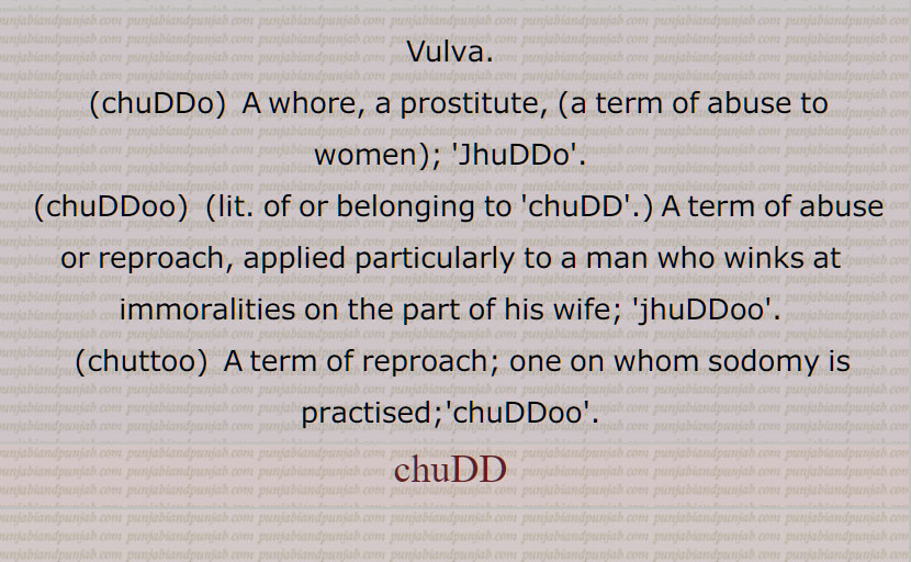 ,چُڈّو,چُڈو,چڈو,چُڈوانا۔چُڈواوَنا,چُڈوانا۔چڈواونا,ਚੁੱਡ, chudd, ਚੁੱਡੋ ,chuddo,Jhuddo,ਚੁੱਡੂ, chuddu, chuddoo,ਚੁੱਤੂ, chuttu, chuttoo,jhuddu, jhuddoo,