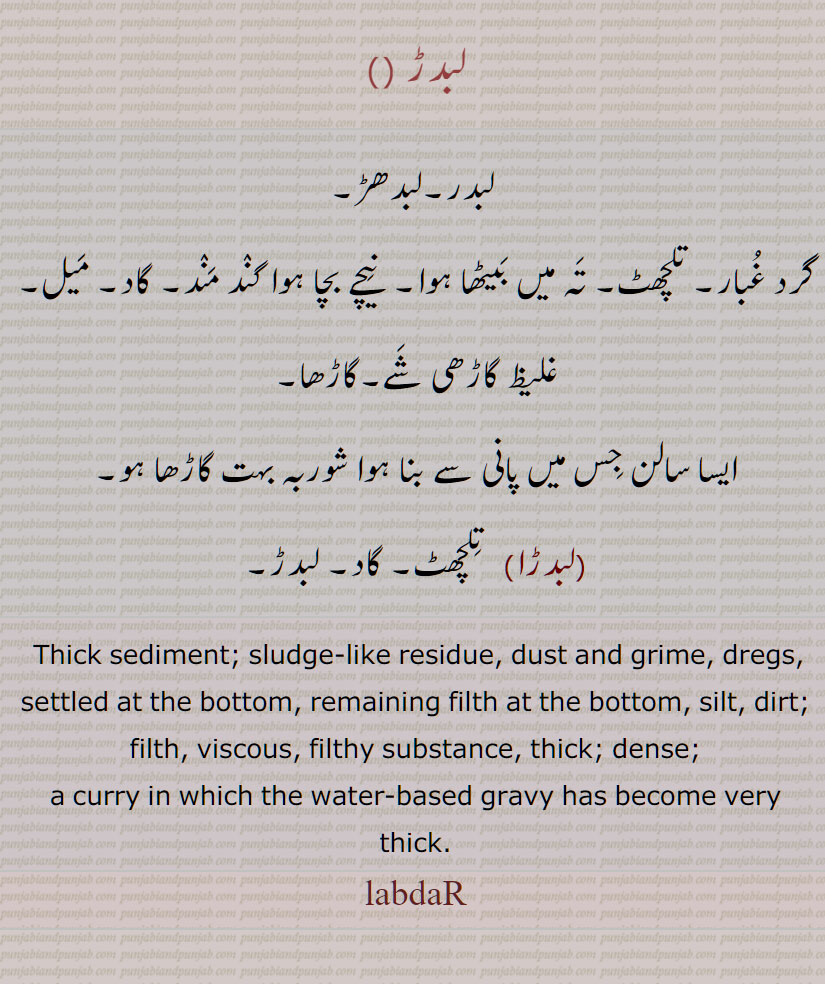 لبدڑ ,  لبدر,لبدھڑ, گاڑھا سالن, لبدڑا,  thick gravy, labdaR, ਲਬਦੜ , ਲਬਦਰ, ਲਬਧੜ,labdar, labdhar,