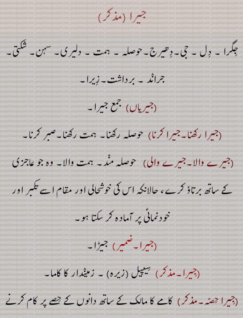  جیریاں, ਜੀਰੀਆਂ ,ਸੀਪੀਲ,سیپیل, جیرا ,حوصلہ , ہمت ،جیرا رکھنا,جیرا کرنا,جیرے والا,جیرے والی,جِیرا,سِیپیل,زمینٛدار کا کاما,جِیرا حصہ, لوہار کا شکنجہ,courage, spirit, bravery,jerawaala, jerawaali, jigra, jeera, zeera, Cummin seed, Cuminum officinale, jarah, jirha, jera,ਜੇਰਾ, ਜਿਰਾ, jira, ਜੀਰਾ, ਸੀਪੀਲ, سیپیل  ,seepel