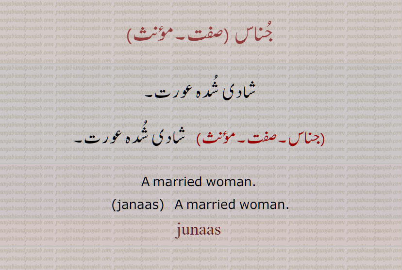 جُناس, شادی شدہ عورت, جناس, janaas, junaas, ਜੁਨਾਸ ,ਜਨਾਸ  