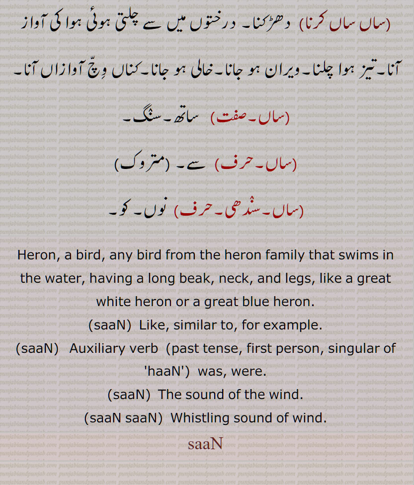 ساں, پرنٛدہ, بوتیمار, بگلا, ہاں, ساں ای, ساں ساں, ہوا کی سنسناہَٹ, ساں ساں کرنا, Heron, a bird,  saaN saaN,Whistling sound of wind, saaN, san, ਸਾਂ, ਸਾਂ ਸਾਂ, 