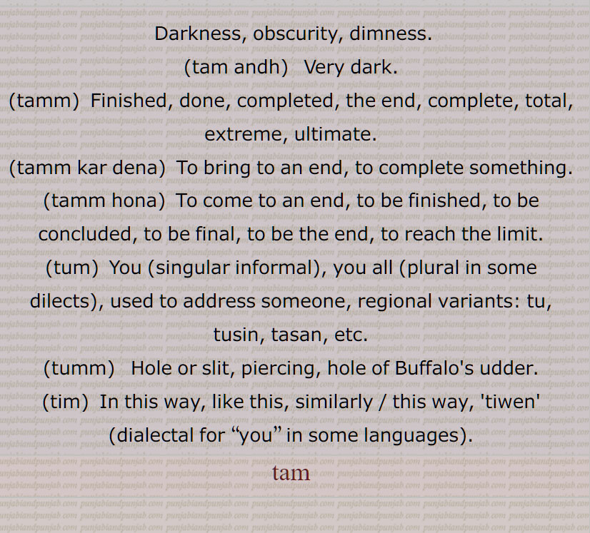 Darkness, tam andh, tamm, done, tamm kar dena, tamm hona, tum, You, tumm, Hole, hole of Buffalo's udder, tim,  tiwen, tam, ਤਮ, ਤੁਮ, ਤੁੱਮ, ਤਿਮ,